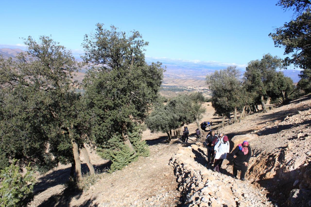 Gite Skoura Caid Bou Malla ภายนอก รูปภาพ