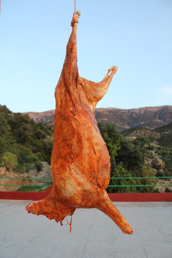 Gite Skoura Caid Bou Malla ภายนอก รูปภาพ