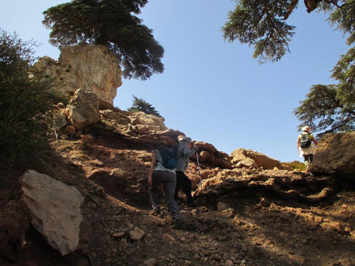 Gite Skoura Caid Bou Malla ภายนอก รูปภาพ