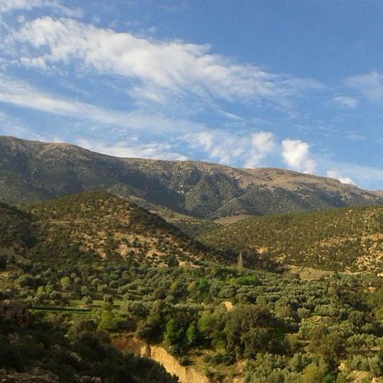 Gite Skoura Caid Bou Malla ภายนอก รูปภาพ